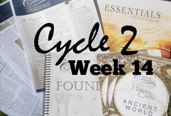 Classical Conversations Cycle 2 Week 14 : Half a Hundred Acre Wood