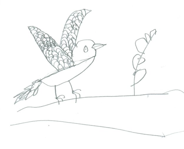 https://www.halfahundredacrewood.com/wp-content/uploads/2012/06/kids-bird-drawing-e1691968033994-625x507.jpeg