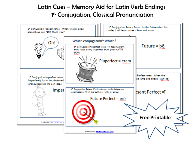 Latin Synopsis Chart