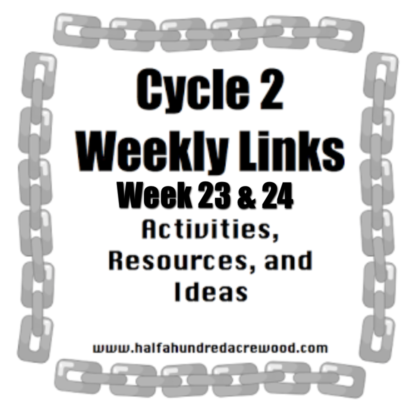 CC Cycle 2 Week 23 & Week 24 : Half a Hundred Acre Wood