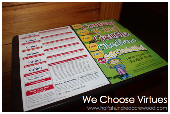 Using we choose virtues