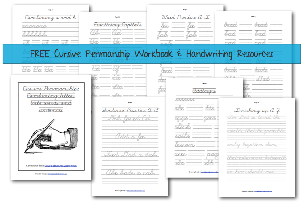 Cursive Handwriting Workbook Grade 6: Children's Reading & Writing Education Books [Book]