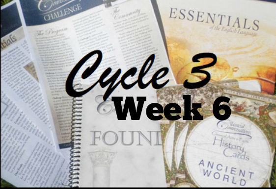 Classical Conversations Cycle 3 Week 6 Half A Hundred Acre Wood
