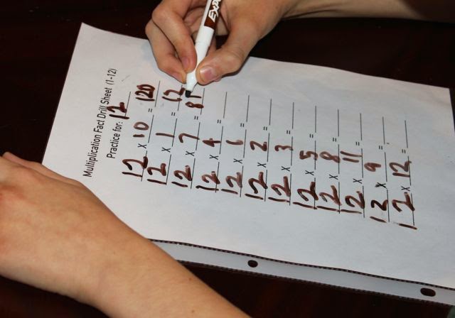 Multiplication Drill Sheet {Printable} - Half a Hundred Acre Wood