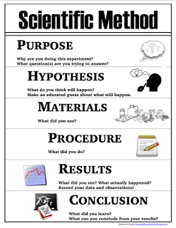 scientific method poster