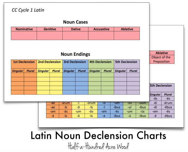 Latin Noun Declension Endings Chart