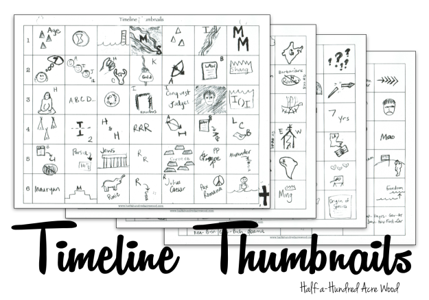 Memorizing Timeline with Timeline Thumbnails 