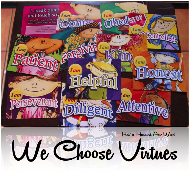 Using we choose virtues