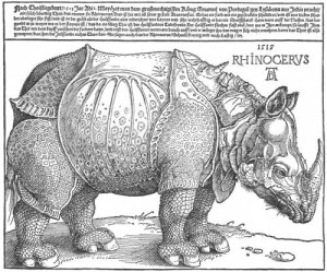 rhinoceros-1515.jpg!Blog-2