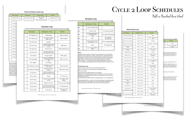 C2 Loop Schedules