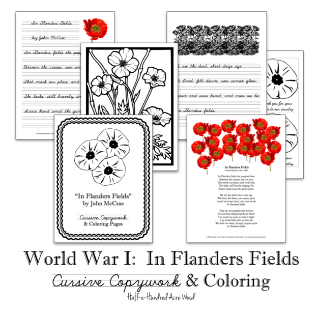 WWI In Flanders Fields Copywork
