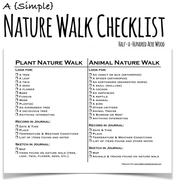 a-simple-nature-walk-checklist-half-a-hundred-acre-wood