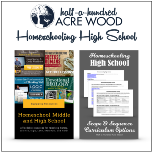 Tips and help for Homeschooling High School