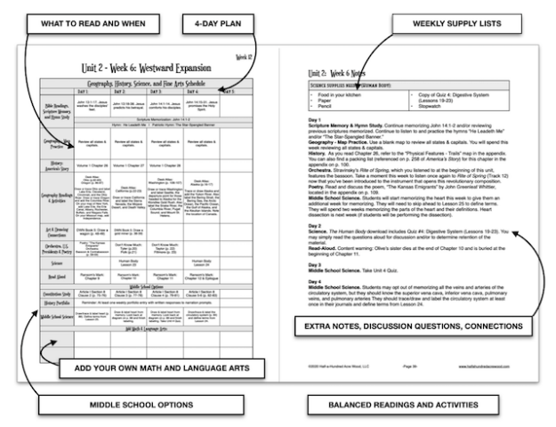 one-year American history curriculum layout