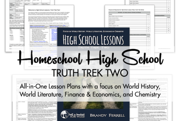 Truth Trek Two High School Lesson Plans